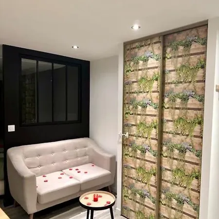 Appartement Love Room/Jacuzzi Toulouse Exterior foto